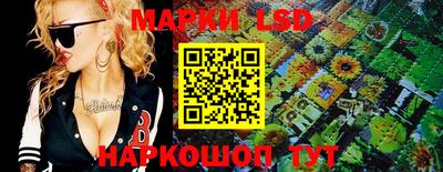 мяу мяу мука Кандалакша