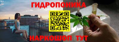 мяу мяу мука Кандалакша