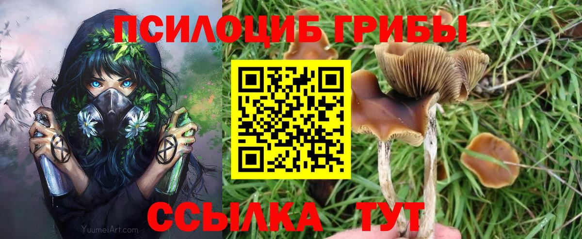 Крымск  Галлюциногенные грибы GOLDEN TEACHER  Вход с VPN 